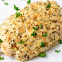 Parmesan Tilapia with Mayo on a plate.