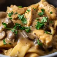 Paprika Chicken Stroganoff