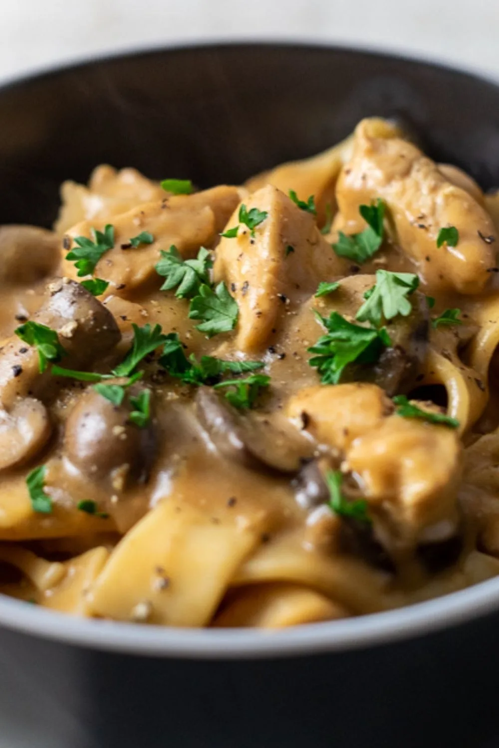 Paprika Chicken Stroganoff in a bowl.