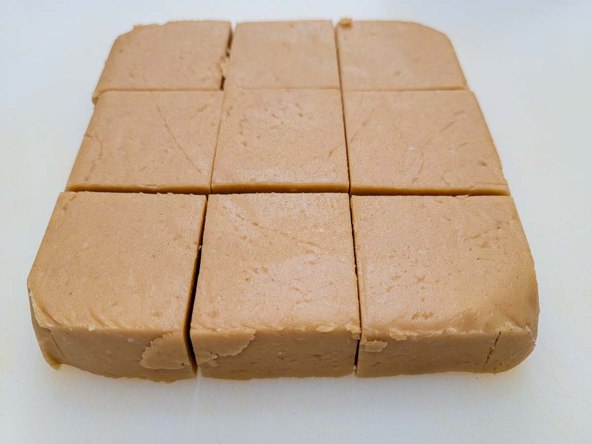 a block of fudge cut into 9 squares.