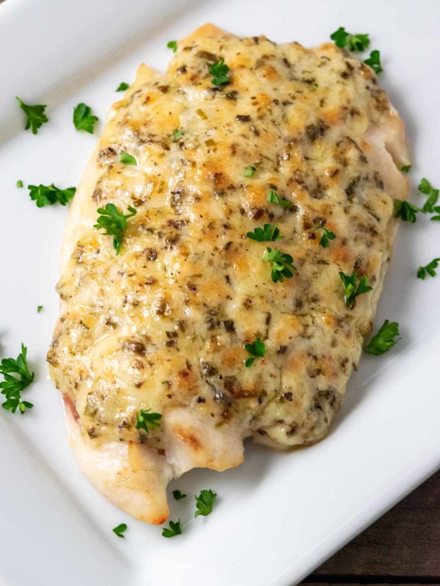 Parmesan Mayo Tilapia Zona's Lazy Recipes