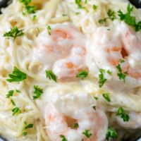 Shrimp Alfredo with Angel Hair Pasta