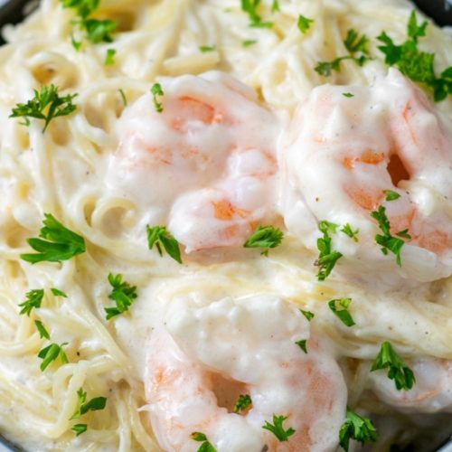 Shrimp Alfredo with Angel Hair Pasta in a bowl.