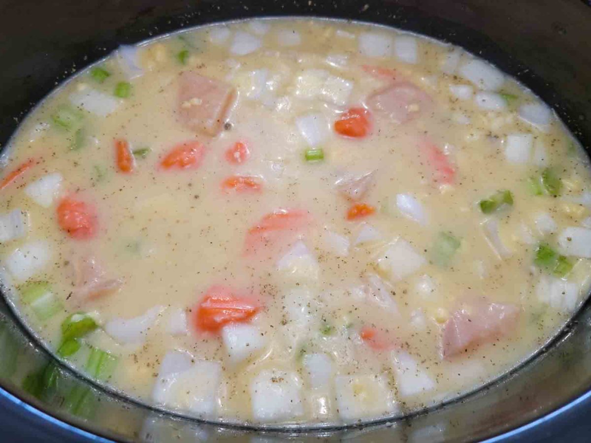 chicken broth, diced chicken, celery, onions, carrots, cream of chicken soup, ground sage, salt and pepper in a crock pot.