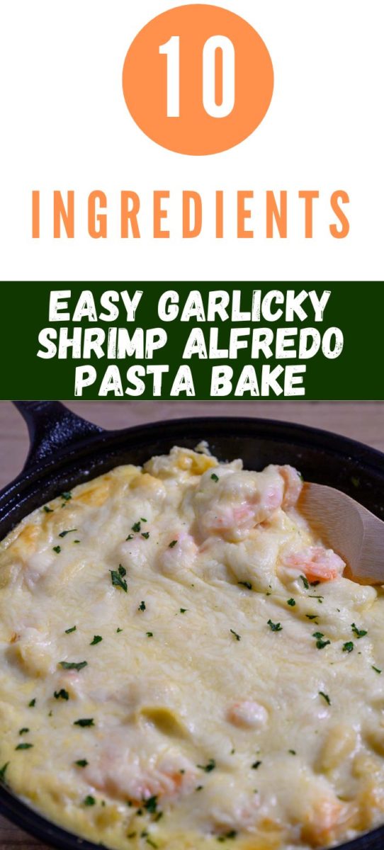 Easy Garlicky Shrimp Alfredo Pasta Bake in a pan.