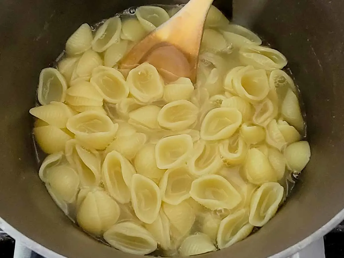 shell pasta cooking in a pan.