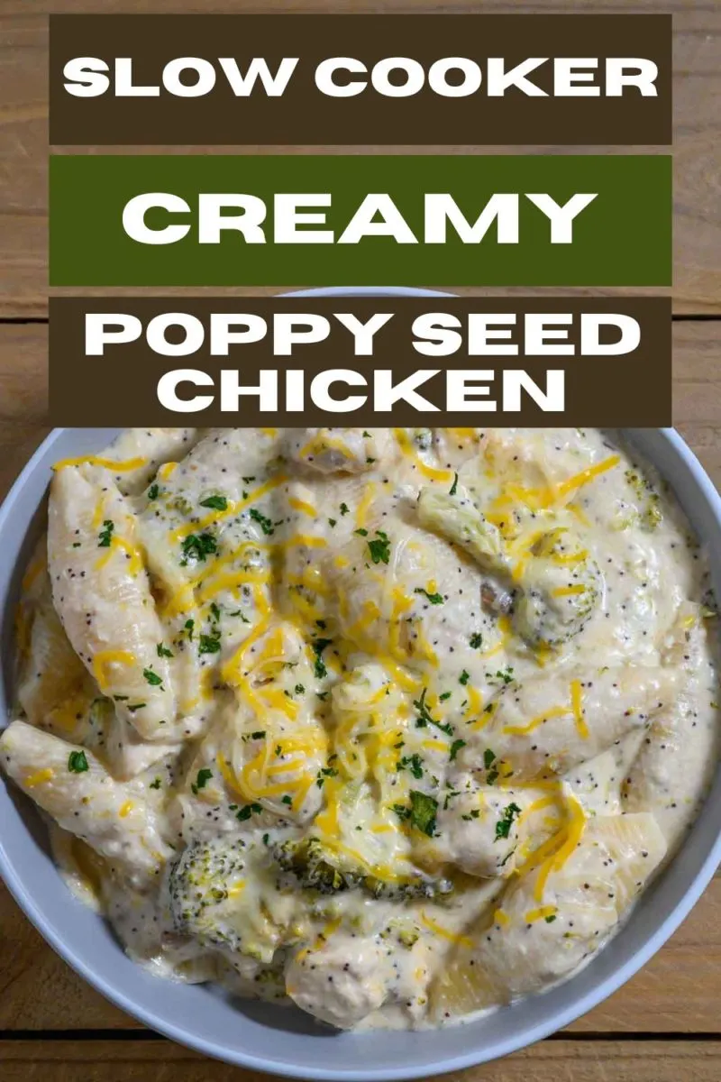 Slow Cooker Creamy Poppy Seed Chicken in a bowl with pasta.