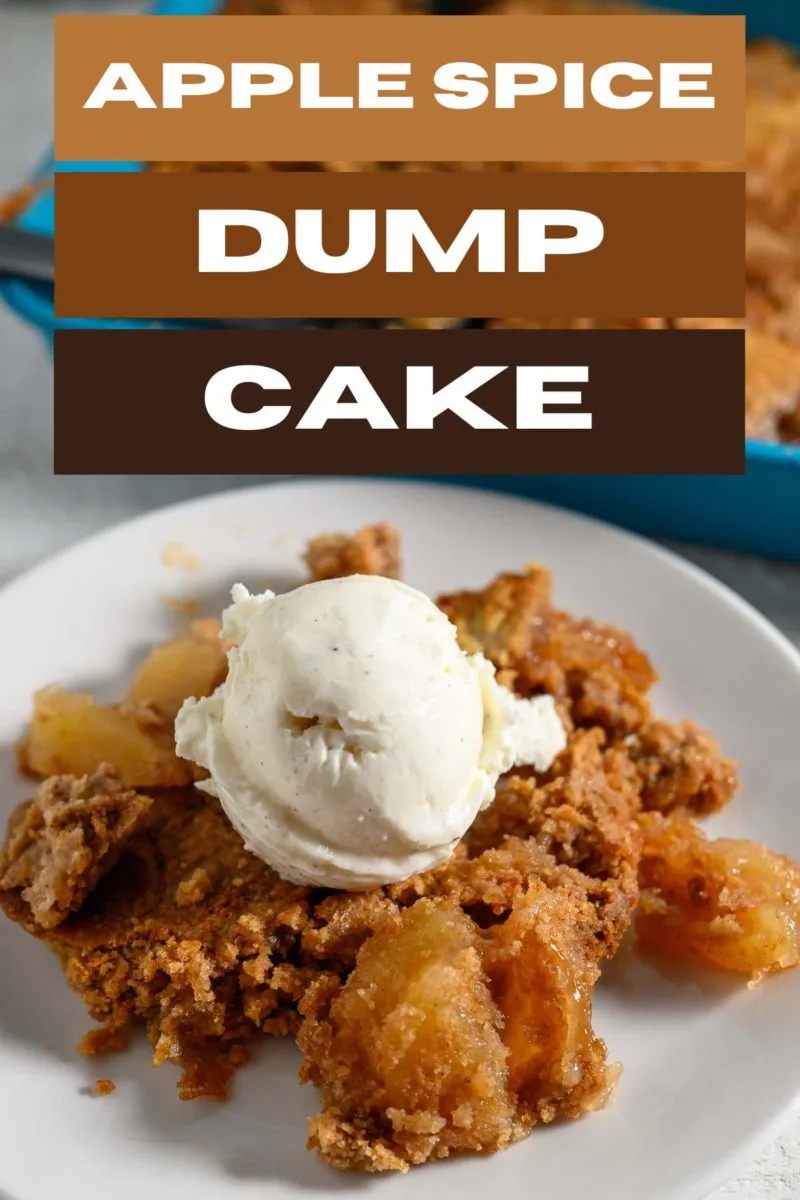 Apple Spice Dump Cake topped with ice cream.