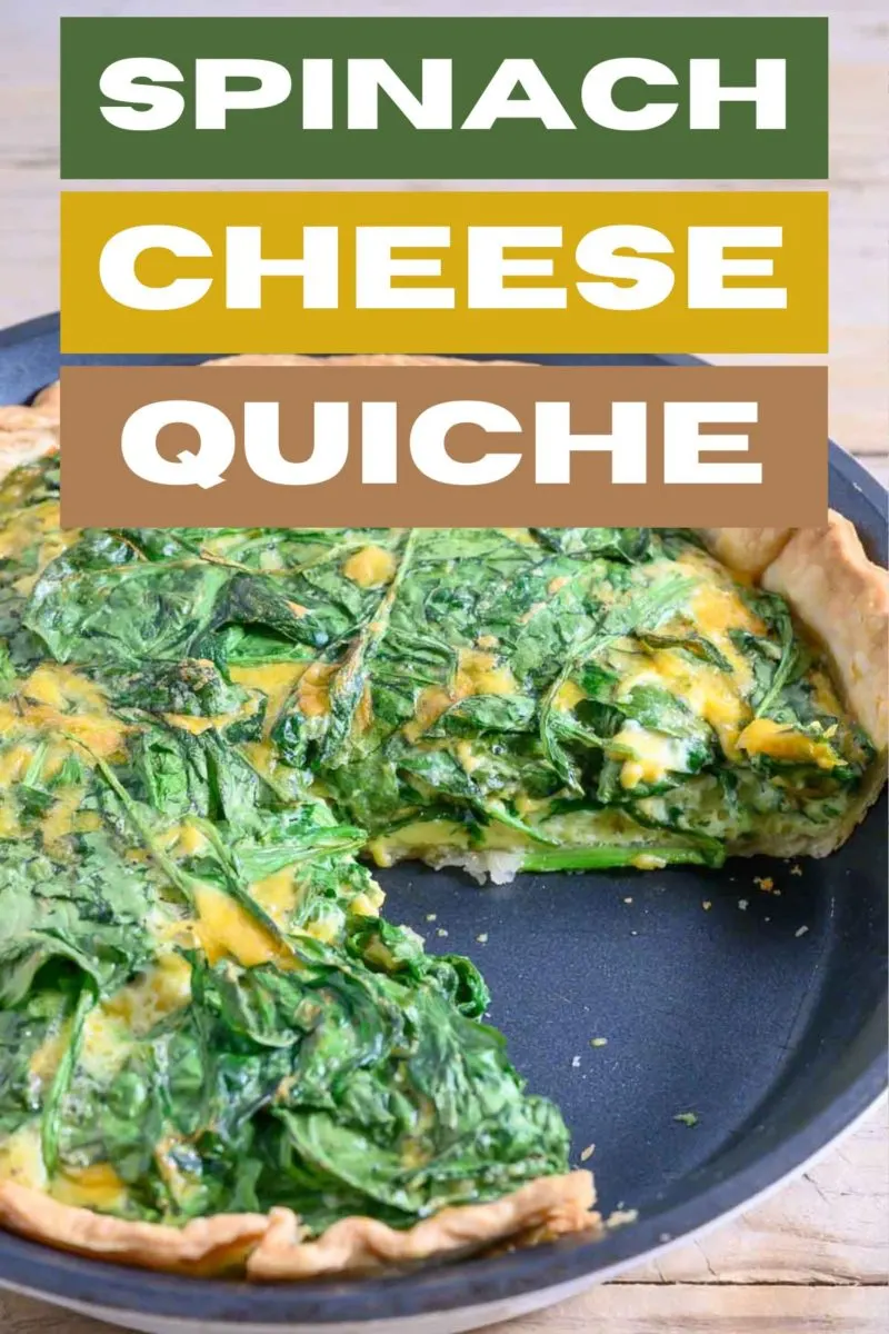 Spinach Cheese Quiche in a pie pan.