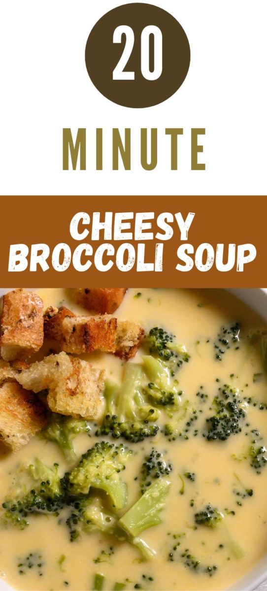 20 Minute Cheesy Broccoli Soup in a bowl.