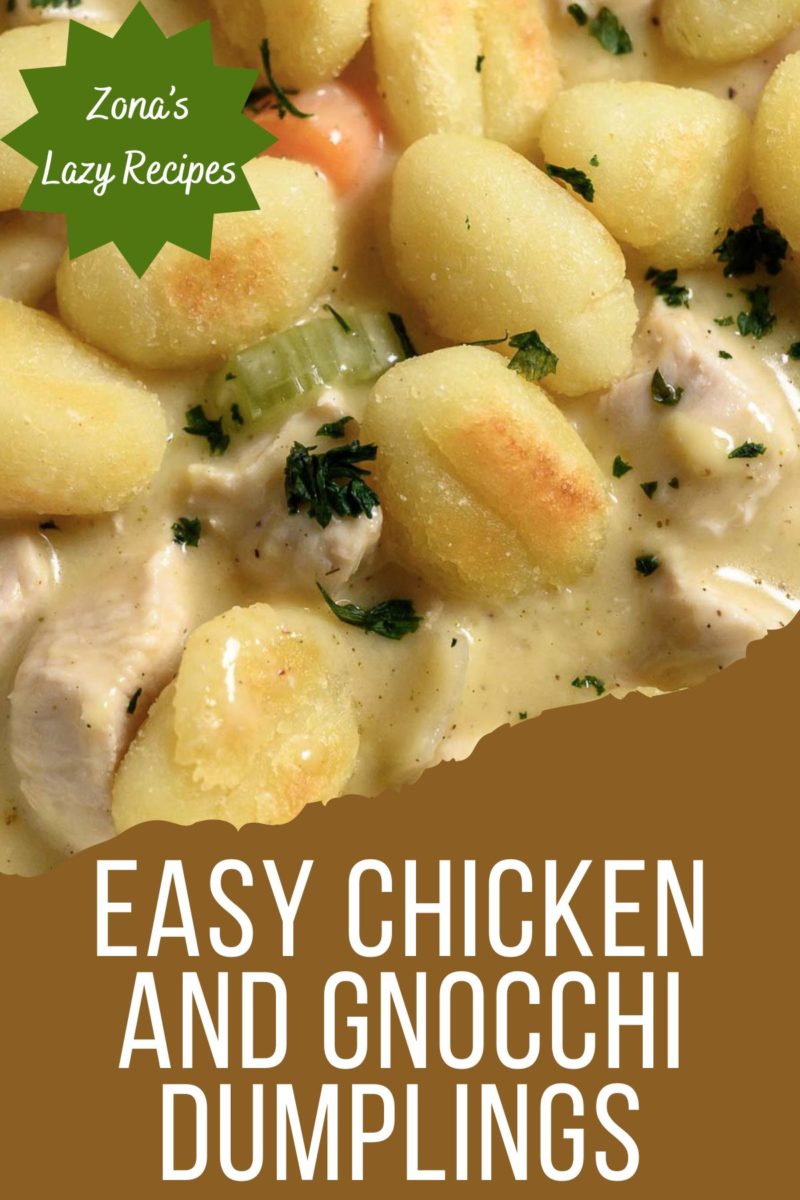 Easy Chicken and Gnocchi Dumplings in a bowl.