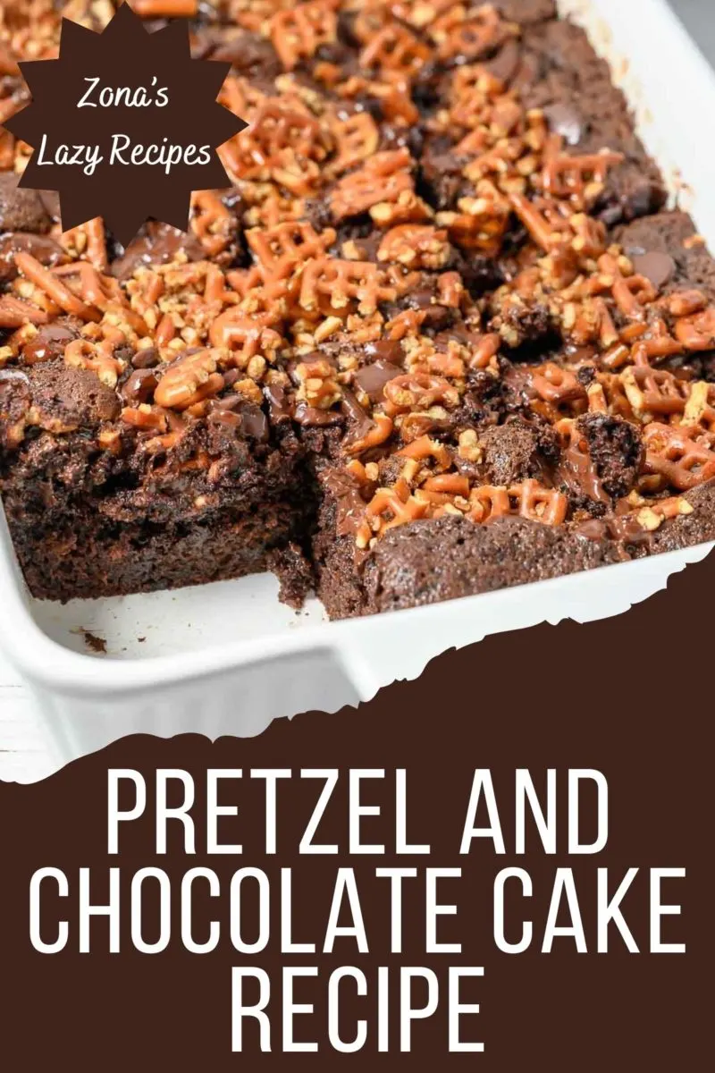 Pretzel and Chocolate Cake in a cake pan.