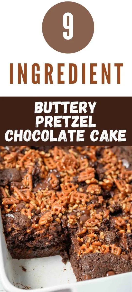 Buttery Pretzel Chocolate Cake in a 9x13 dish.