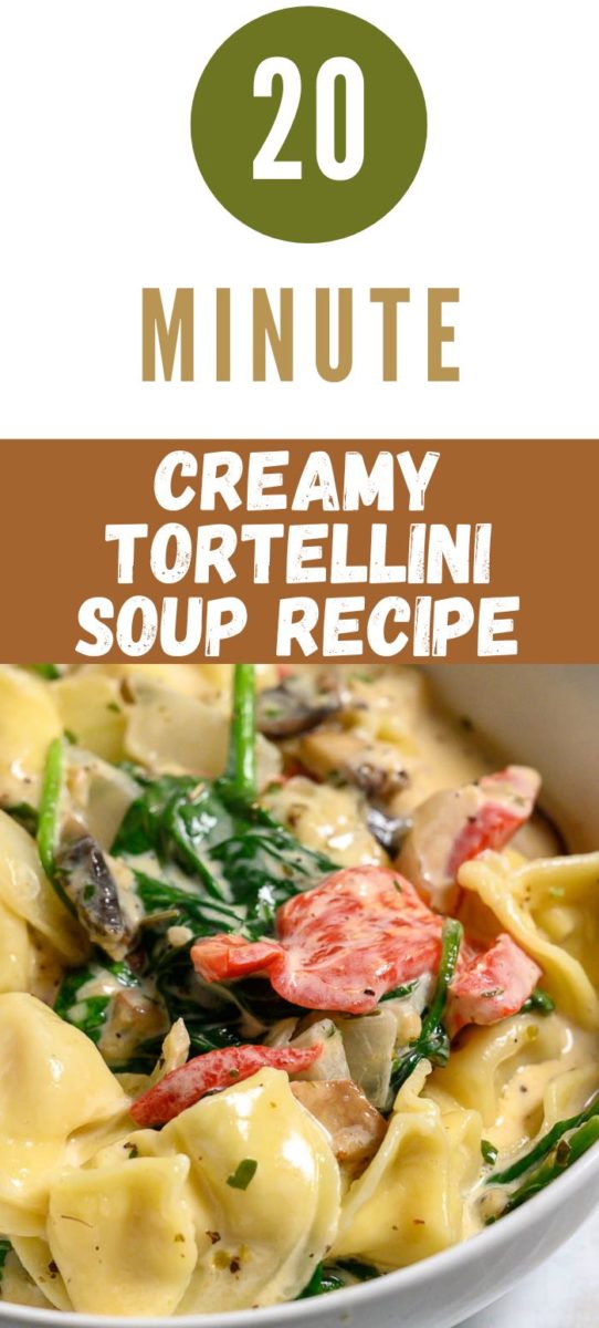 Creamy Tortellini Soup in a bowl.